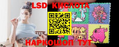 гашик Донской