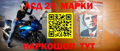 гашик Донской