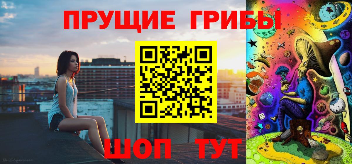 Малоярославец  Псилоцибиновые грибы Cubensis  Вход с VPN 