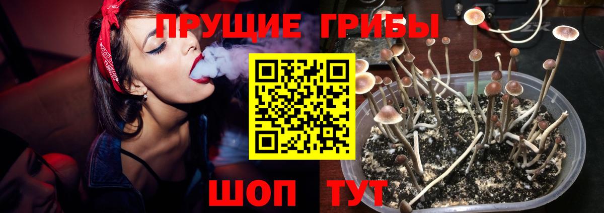 Галлюциногенные грибы мухоморы Малоярославец